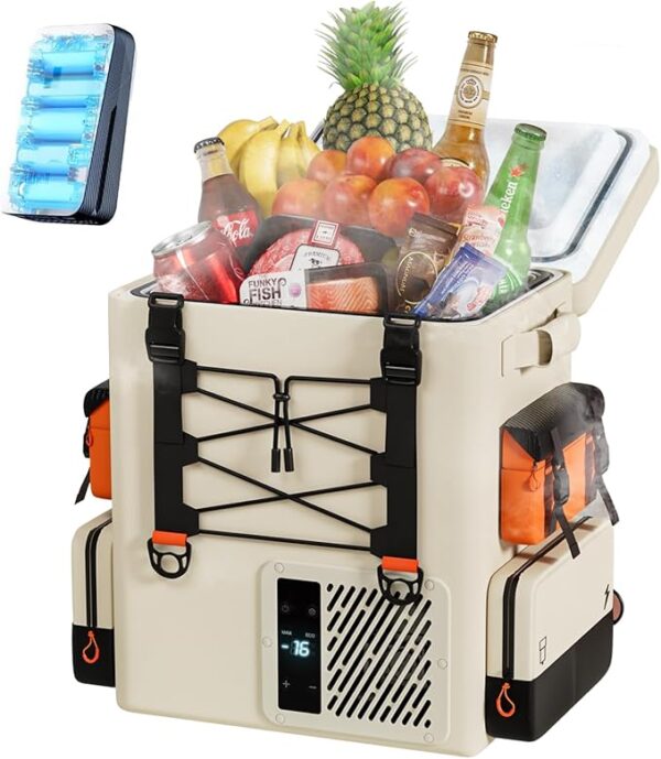 FrozenPack Cool Box Electric Portable